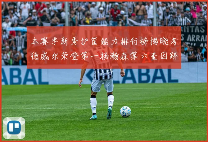 本赛季新秀护筐能力排行榜揭晓考德威尔荣登第一杨瀚森第六奎因跻身前十