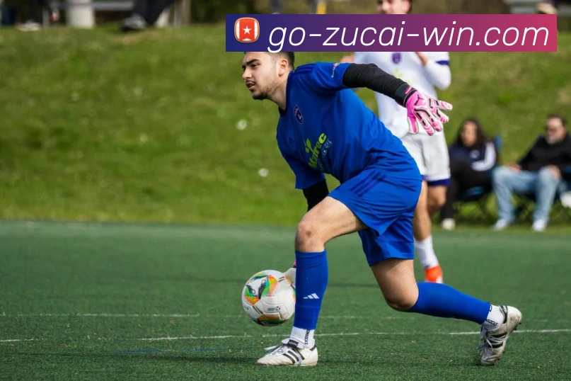 足彩网APP 封面图